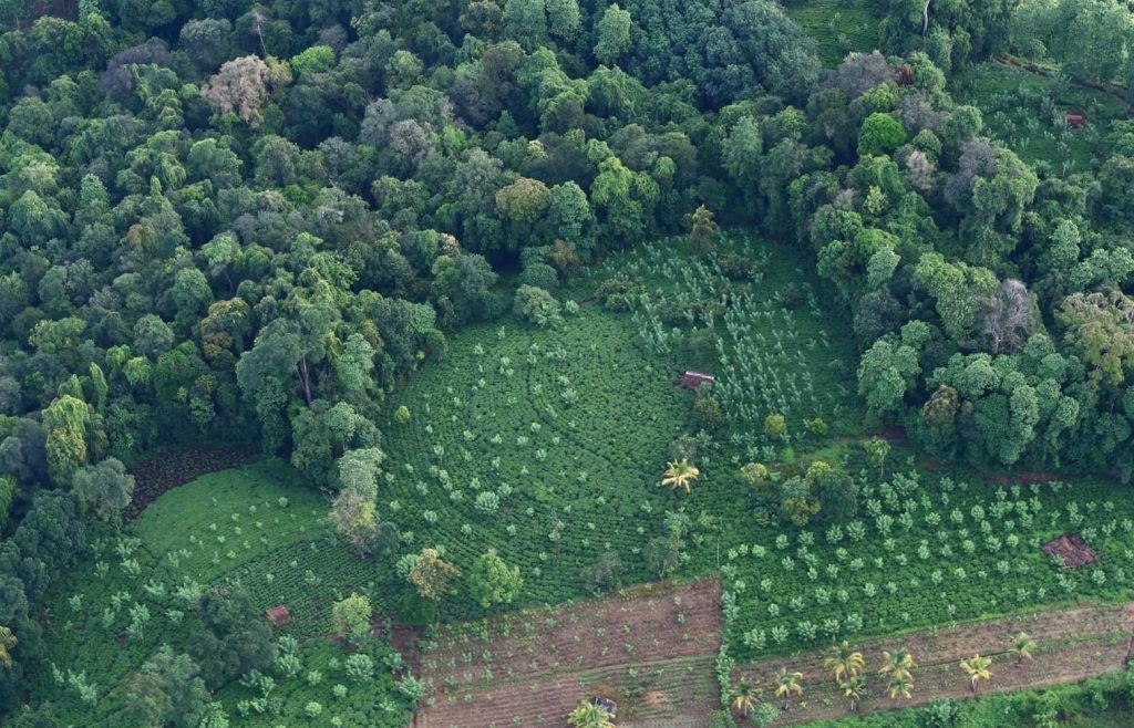 Plasticcycle Sri Lanka
